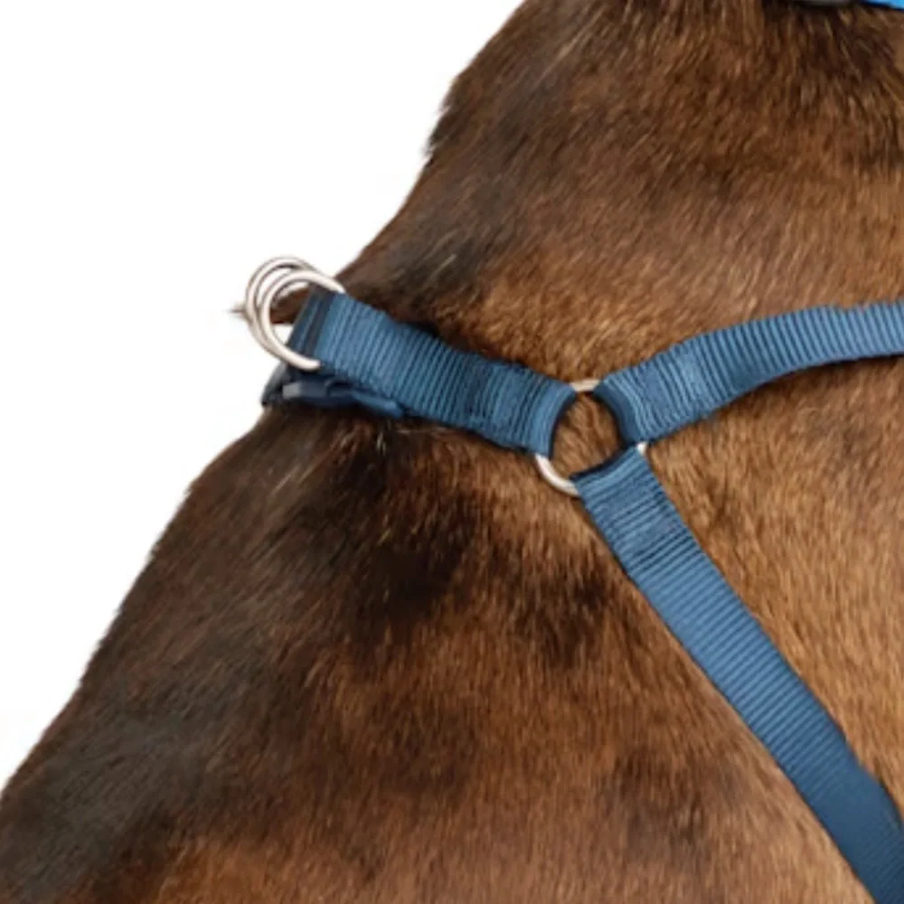 NWT YOULY padded dog harness XS